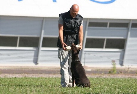 Estonian championship 2007 in IPO 3